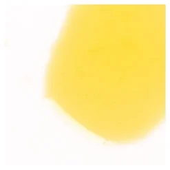Acorelle Soin préparateur bronzage Bio