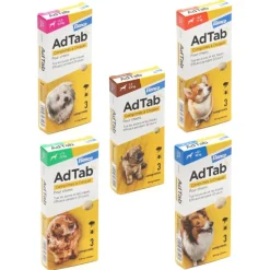 AdTab Chien comprimé anti puces