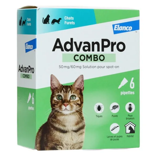 AdvanPro Combo pipette anti puce Chat