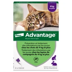 Advantage pipettes pour chat et lapin traitement anti puces