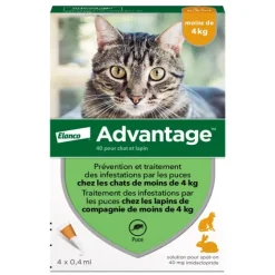 Advantage pipettes pour chat et lapin traitement anti puces