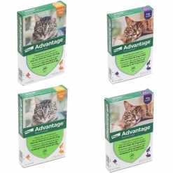 Advantage pipettes pour chat et lapin traitement anti puces