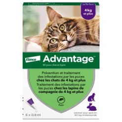 Advantage pipettes pour chat et lapin traitement anti puces