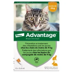 Advantage pipettes pour chat et lapin traitement anti puces