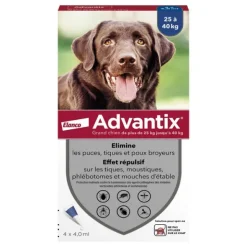 Advantix Chien pipettes anti puces