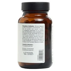 A Lab Coenzyme Q10 Liposomal gélules