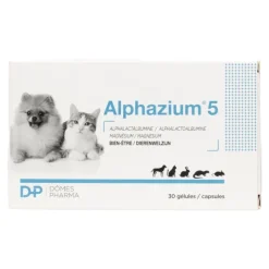 Alphazium 5 gélules