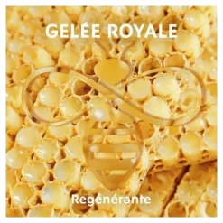 Alvadiem crème réparatrice mains et ongles