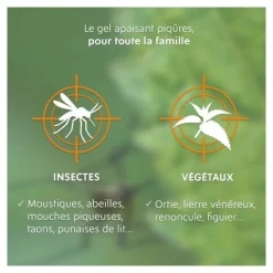 Alvadiem Gel apaisant piqures