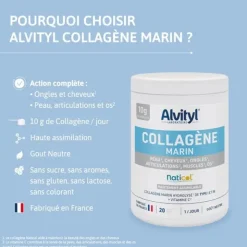 Alvityl collagène marin poudre