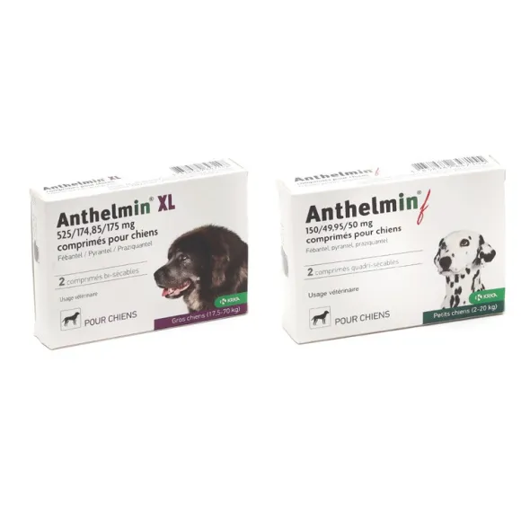 Anthelmin Chien vermifuge comprimés