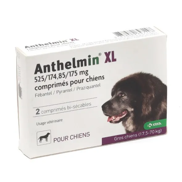 Anthelmin Chien vermifuge comprimés