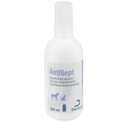 AntiSept solution désinfectante
