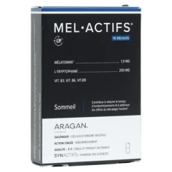 Aragan Mel Actifs gélules