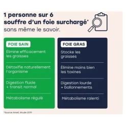 Archie Rituel détox foie