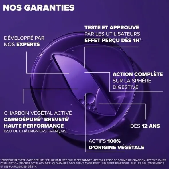 Arkodigest Expert Ballonnements et Flatulences gélules
