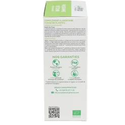 Arkofluides programme Détox Bio ampoules