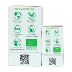 Arkogelules levure de bière Bio gélules