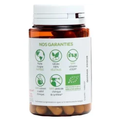 Arkogélules Bardane Bio gélules