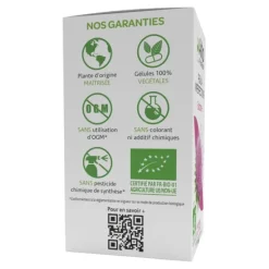 Arkogélules Bardane Bio gélules