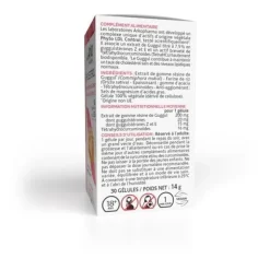 Arkogélules Cholestérol gélules