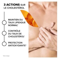 Arkogélules Cholestérol gélules