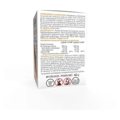Arkogélules Cordyceps gélules