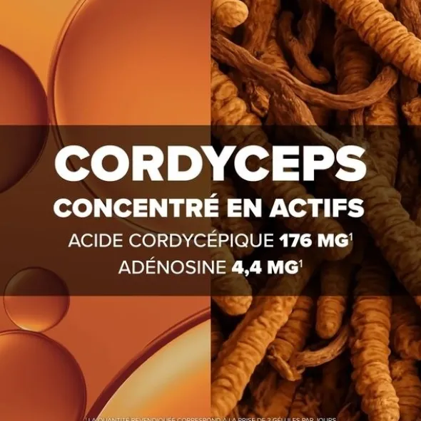 Arkogélules Cordyceps gélules