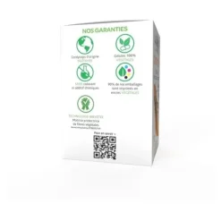Arkogélules Cordyceps gélules