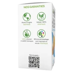 Arkogélules curcuma pipérine gélules