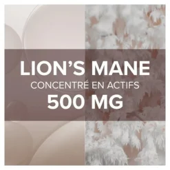 Arkogélules Lion's Mane gélules