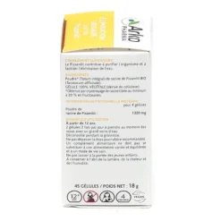Arkogélules pissenlit Bio gélules