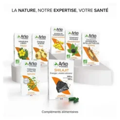 Arkogélules Shilajit gélules