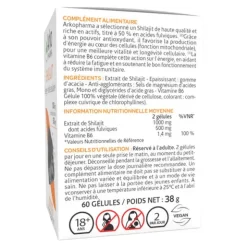 Arkogélules Shilajit gélules