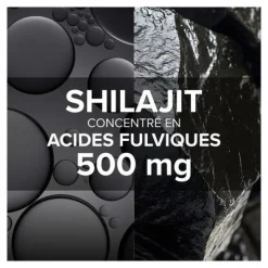Arkogélules Shilajit gélules
