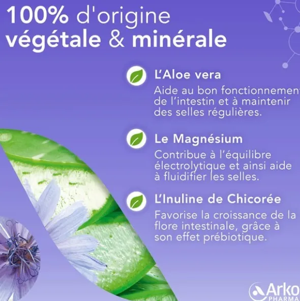 Arkopharma Constipation occasionnelle sachets