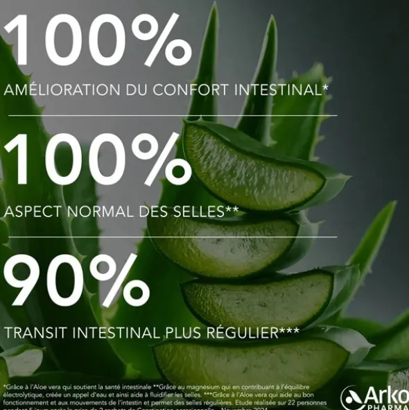 Arkopharma Constipation occasionnelle sachets