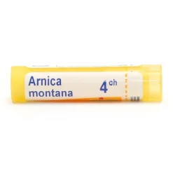 Arnica montana granules homéopathie Boiron