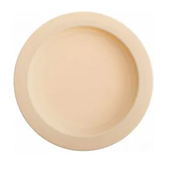 Assiette avec bord intégré diamètre 23 cm