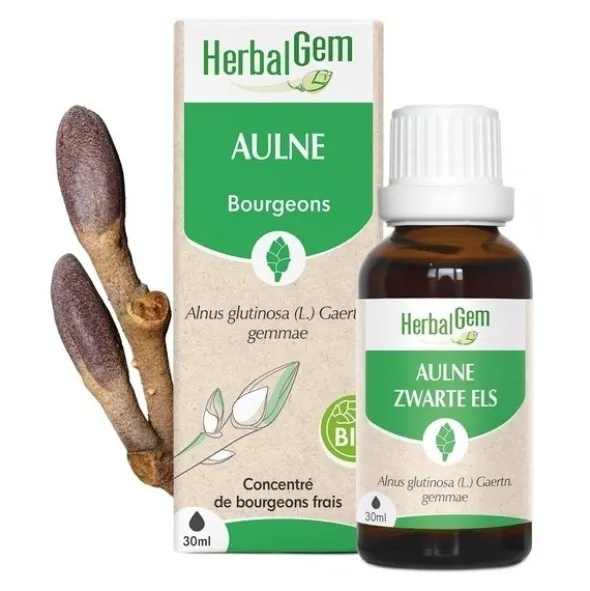 Aulne Macérat de bourgeons bio