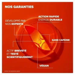 Azinc Expert Fatigue intense Epuisement comprimés
