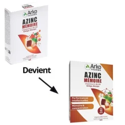 Azinc Mémoire Gélules