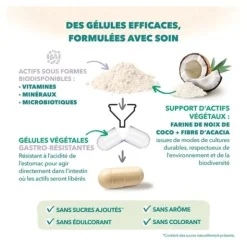 Babynat Maternité Grossesse gélules + capsules