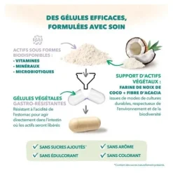 Babynat Maternité Post Partum gélules + capsules