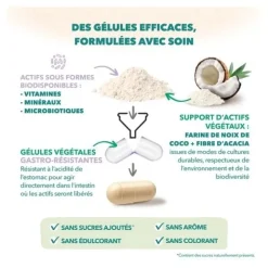 Babynat Maternité Pré Conception gélules + capsules