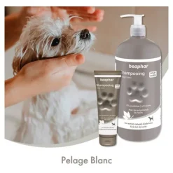 Beahphar Shampooing pelage blanc pour chien