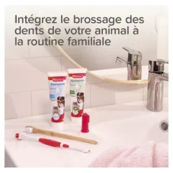 Beaphar Brosse à dents doigtier Chien et Chat