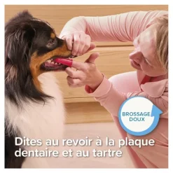 Beaphar Brosse à dents doigtier Chien et Chat
