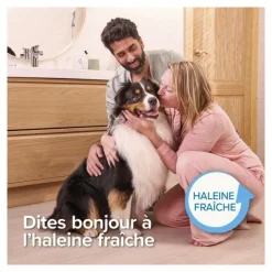 Beaphar Brosse à dents doigtier Chien et Chat