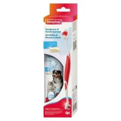 Beaphar Brosse à dents et dentifrice Chien Chat